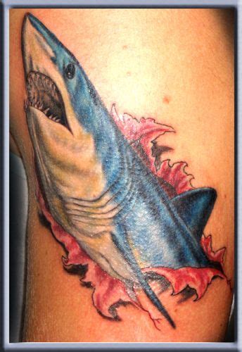 I Want A Mako Shark Tattoo For Chris I Just Cant Decide If I Want It