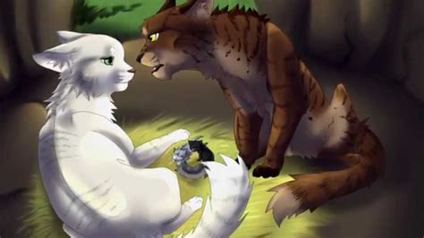 My Top 20 Favourite Warrior Cat Couples Youtube
