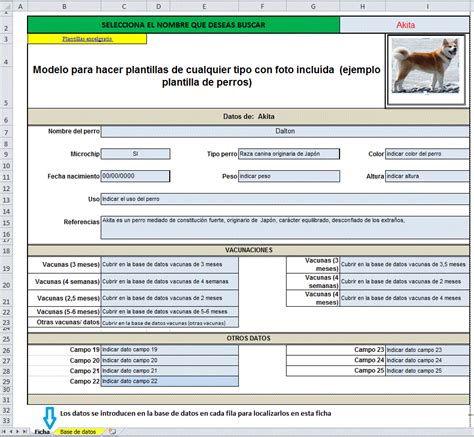 Plantilla Modelo De Datos Con Imágenes Excel Gratis
