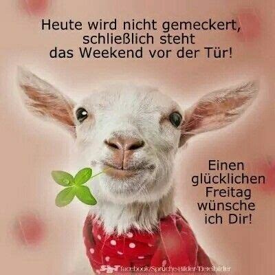 Wähle einfach die passende kategorie oder nutze unsere suchfunktion. Einen glücklichen Freitag wünsche ich Dir! {Happy Friday ...