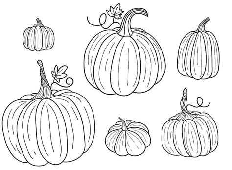 Dibujos De Seis Calabazas Para Colorear Para Colorear Pintar E