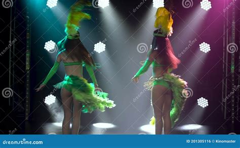 Two Beautiful Slim Girls Are Dancing In Blue Green Carnival Costumes Dancers In Revealing