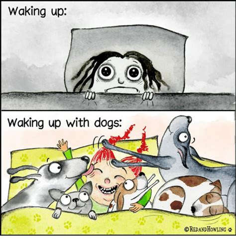 Waking Up Waking Up With Dogs Oredandhowling Dogs Meme