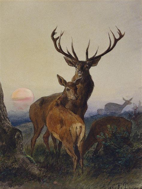 Wir haben 364 seiten zu deiner suche gefunden. Artland Poster, Leinwandbild »Hirsch Reh Tiere Wildtiere Wald Natur Malerei« online kaufen | OTTO
