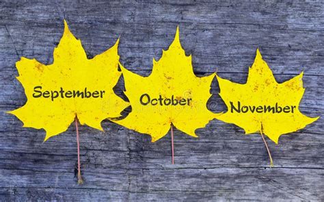Septemberoctobernovemberyellow Autumn Leaves With Inscriptions On