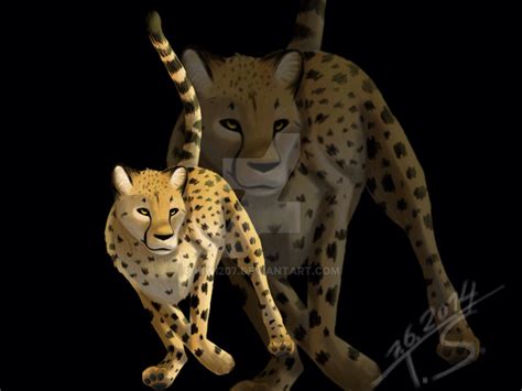Cheetah By Kiwi207 On Deviantart