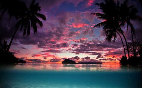 Landscape Nature Tahiti Sunset Palm Trees Island Beach Sea Tropical Sky