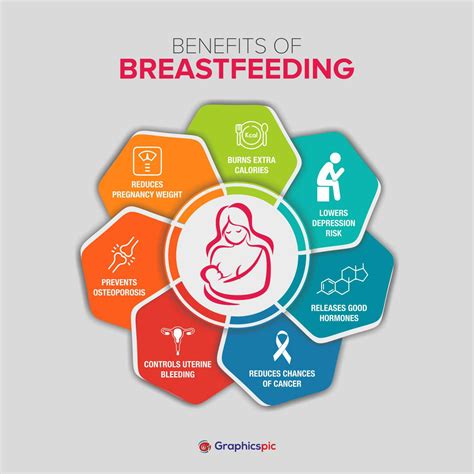 Benefits Of Breastfeeding For Moms Maternity Vector Image Infograph 7 Element With Centre