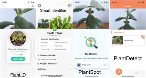 Let's answer here some of the frequently asked. The Best Plant Identification App - A Review