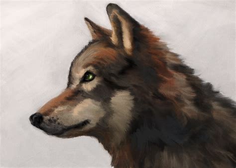 Wolf Profile 2 By Beonarri On Deviantart