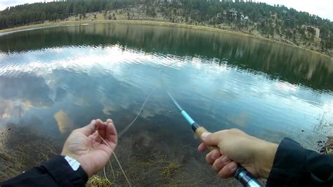 Fly Fishing In Ruidoso New Mexico Alto Lake Youtube