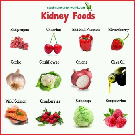What is a renal diet? 17 Signs Of Chronic Kidney Disease | HubPages