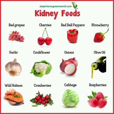 If you have a dog with kidney disease, you have to feed them a diet specially transitioning to a wet food diet can be difficult for dogs who have eaten kibble are their lives. 17 Signs Of Chronic Kidney Disease | HubPages