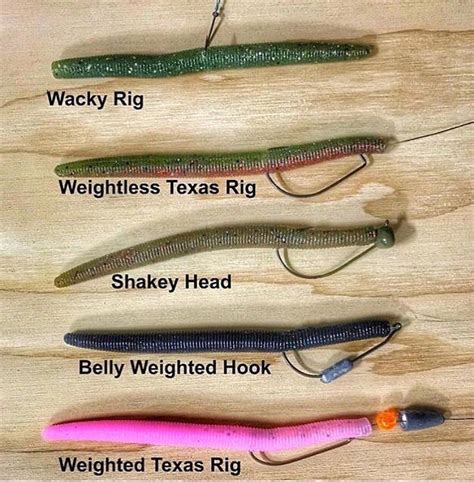 Wacky Rig Worm Underwater All Worms