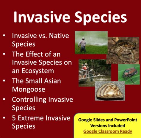 invasive species ecology lesson teaching resources