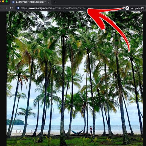 How To Download Instagram Photos High Resolution 1080px