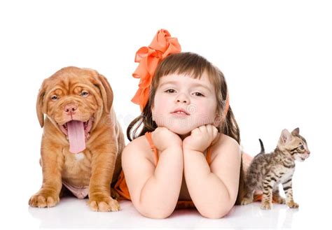 Girl Playing With Cat And Dog Isolated On White Background Stock Photo
