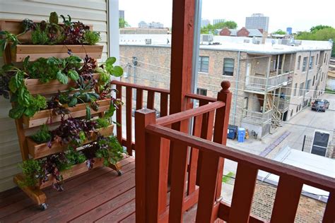 Growing Vegetables On Balcony Garden Apartment Vegetable Garden