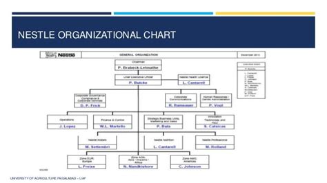 Nestle Organizational Structure Chart