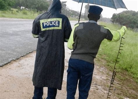 zim gvt bans use of hand held spikes by police rogue cops face arrest zw news zimbabwe