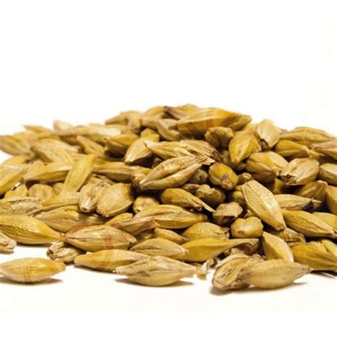 Subito a casa e in tutta sicurezza con ebay! Malto d'orzo Pilsner (5 kg) Birra | Polsinelli Enologia