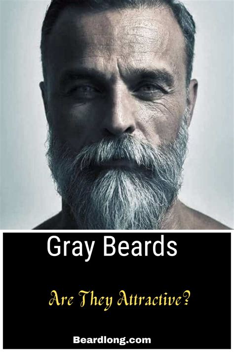 Gray Beards Are They Attractive Grey Beards Beard Styles For Men