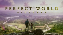 Perfect World Pictures - Intro | Logo HD (2016-, Version 4) - YouTube