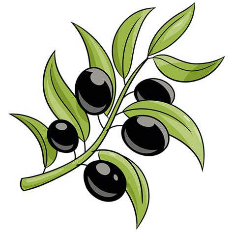 How To Draw Olive Tree Leaves Talmadge Devell
