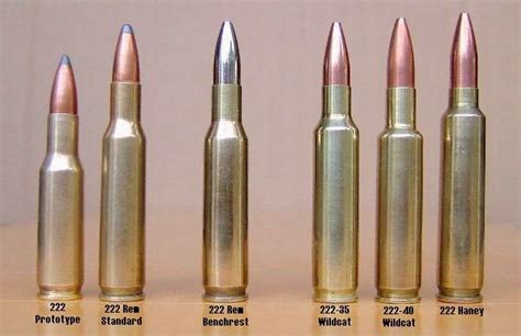 Competition Cartridges Within