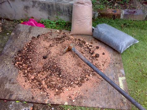Kita boleh gunakan campuran ini untuk menyemai benih sayur dahulu sebelum terus dipindahkan atas batas atau pasu lebih besar. ++ kEbUn pApA AiNa ++: Halaman Hadapan : Ruang Tanaman Baru