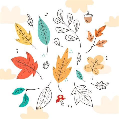 Free Vector Hand Drawn Autumn Leaves Set