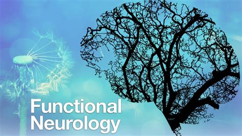 Functional Neurology Is Based On Neuroplasticity Theories It Is Now