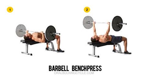 Check spelling or type a new query. Chest Workouts - Top 6 Chest Exercises For Mass Gain
