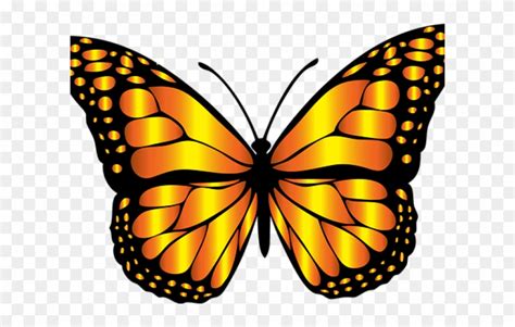 Download Monarch Butterfly Clipart Png Full Hd Butterfly Insect