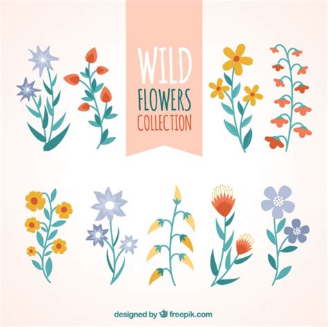 Free Vector Hand Drawn Variety Of Wild Flowers