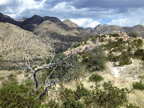 Sabino And Bear Canyon Arizona Trail Must Hike Must Eat