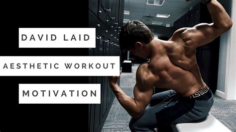 David Laid Aesthetic And Fitness Workout Motivation 2017 Youtube