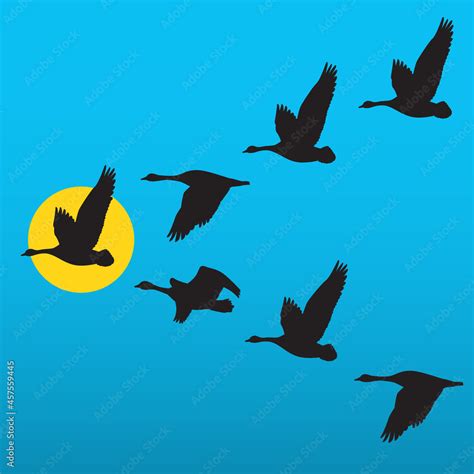 Flock Of Migrating Geese Flying In Vee Formation Vector Illustration