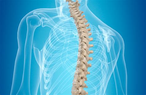 Spinal Surgery Guide Patient Claim Line