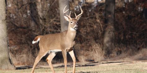 Know Wisconsins Trespass Law For A Safe Hunting Season Wisconsin