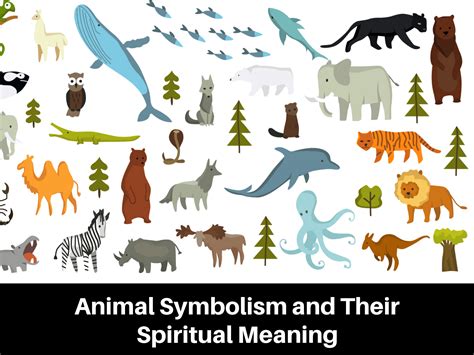 Animal Symbols And Meanings