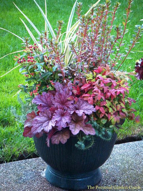 22 Best Perennial Container Garden Ideas Images On Pinterest Small
