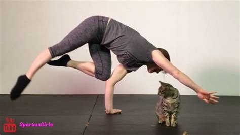 Handstand For Cat Lovers Youtube