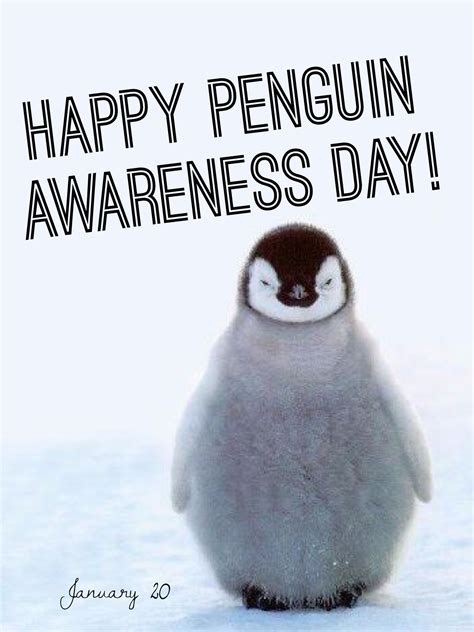 Happy Penguin Awareness Day