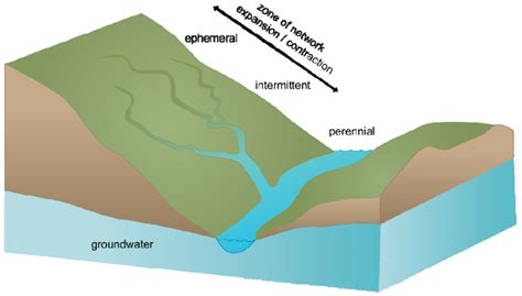 Typical Transition From Temporary To Perennial Streams At The