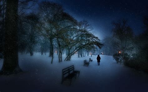 433144 Bench Winter Outdoors Cold Trees Rare Gallery Hd Wallpapers