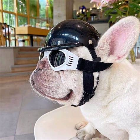French Bulldog Sunglasses Dog Goggles Updated Version Frenchiely
