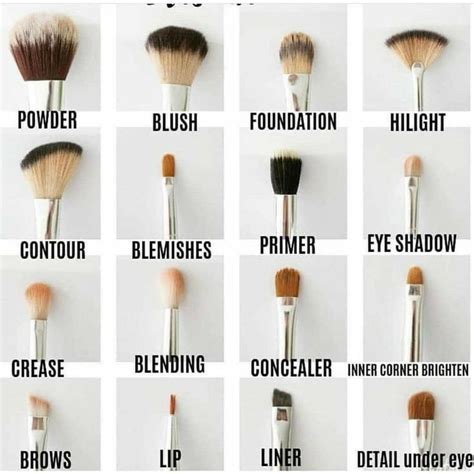 Eye Makeup Brushes Guide Face Makeup Tips Face Makeup Tutorial Skin