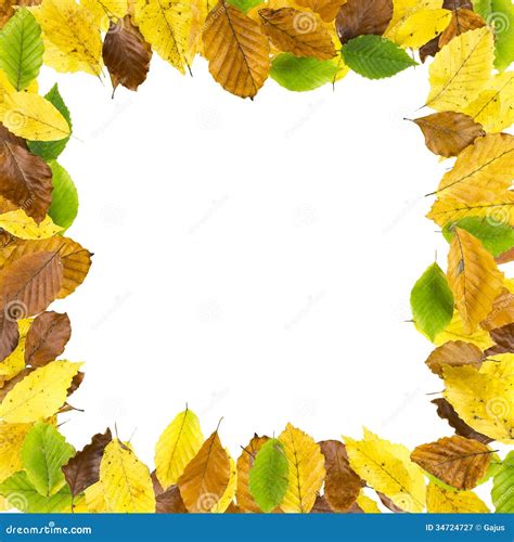 Square Border Frame Of Autumn Leaves Royalty Free Stock Photography