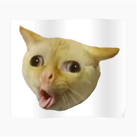 Coughing Cat Meme Sticker By Bizkitbones Ubicaciondepersonascdmxgobmx
